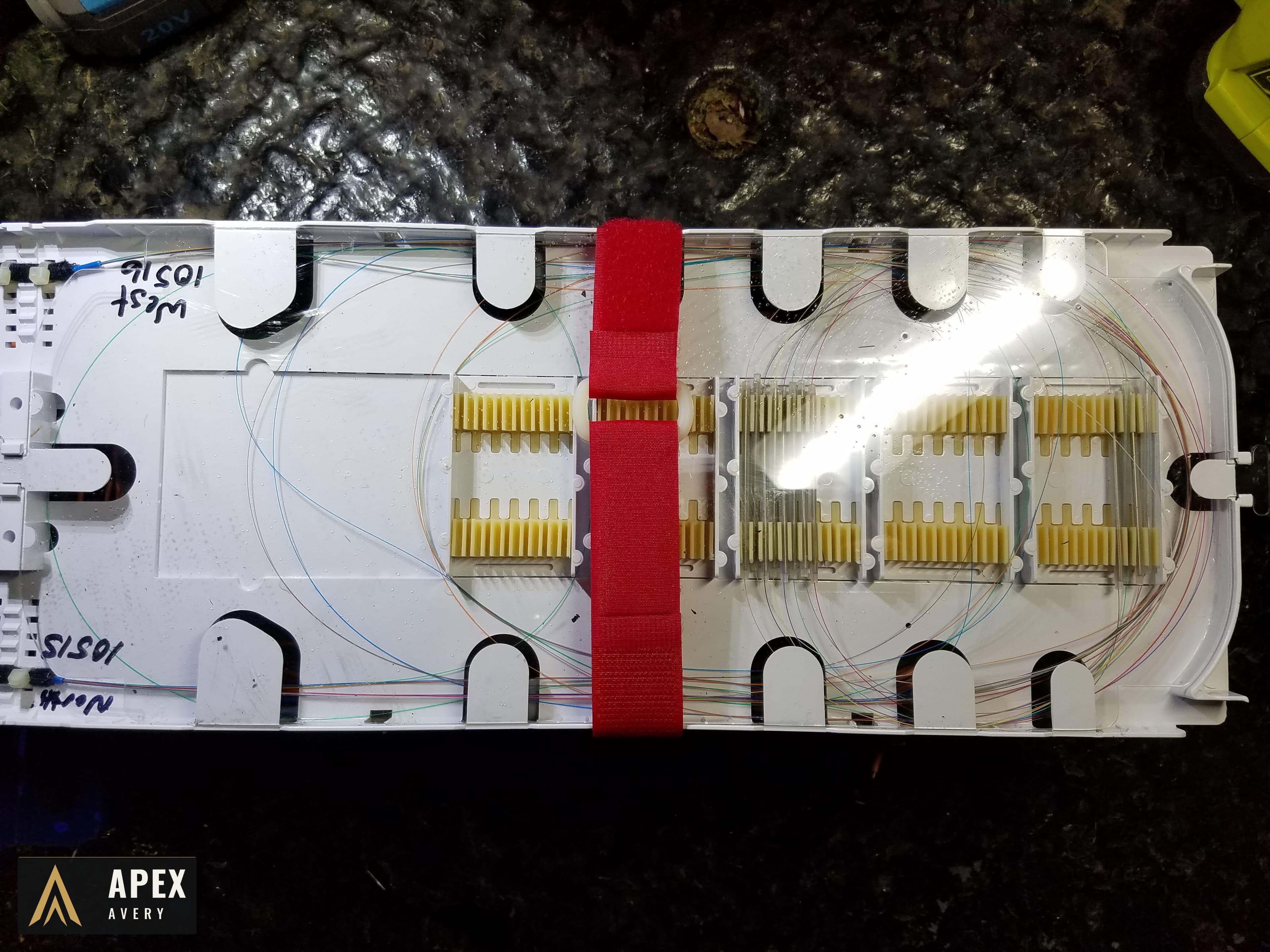 Completed splice tray on plant